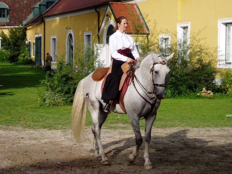 Lilienhof 270805 019